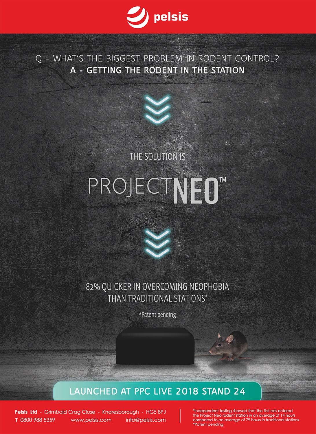 Project Neo Pelsis